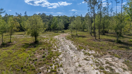 25 Acres in North Florida – Cleared Sites & Natural Beauty - image 3