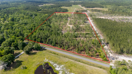 25 Acres in North Florida – Cleared Sites & Natural Beauty - image 6
