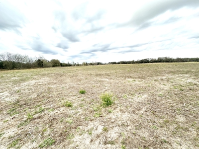 Land For Sale In Lafayette County !!! - image 1