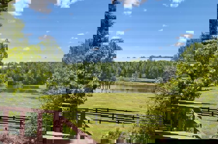 Premier 36.1-Acre Equestrian Estate - image 29