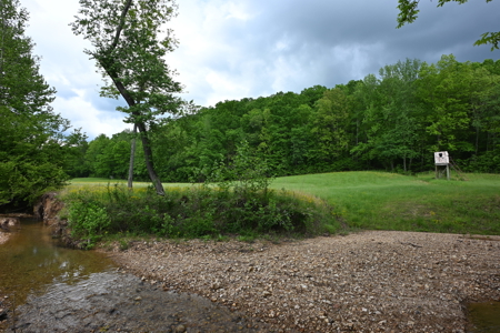 Estate on 162 Acres for Sale in Linden, Tennessee - image 41