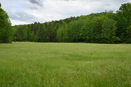 Estate on 162 Acres for Sale in Linden, Tennessee - image 36