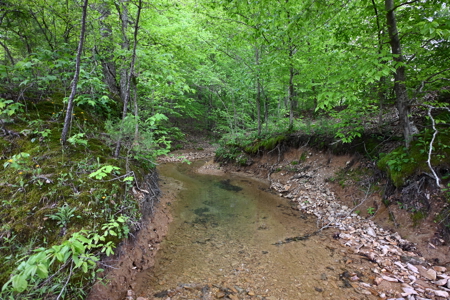 Estate on 162 Acres for Sale in Linden, Tennessee - image 35