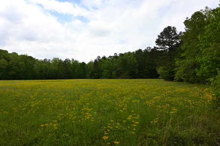 Estate on 162 Acres for Sale in Linden, Tennessee - image 39