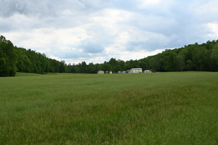 Estate on 162 Acres for Sale in Linden, Tennessee - image 37