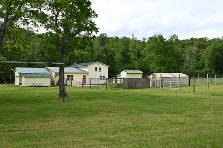 Estate on 162 Acres for Sale in Linden, Tennessee - image 26