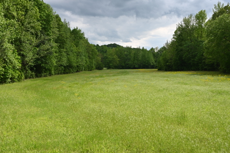 Estate on 162 Acres for Sale in Linden, Tennessee - image 34