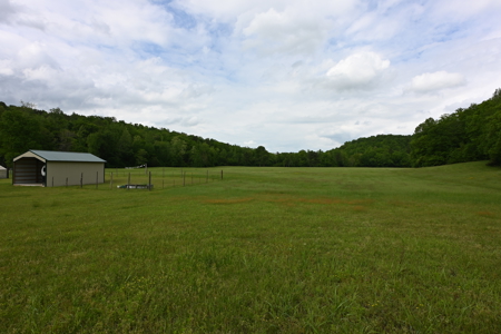 Estate on 162 Acres for Sale in Linden, Tennessee - image 38