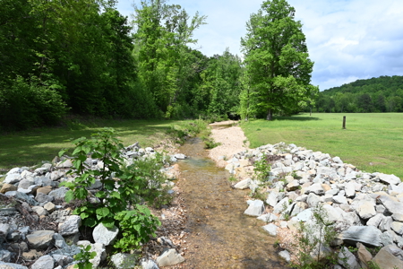 Estate on 162 Acres for Sale in Linden, Tennessee - image 45