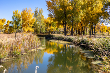 Riverfront Custom Home for Sale in Colorado - image 13