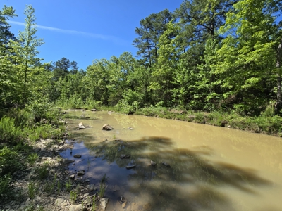 Off-Grid Property – Creek Frontage - Owner Financing - image 5