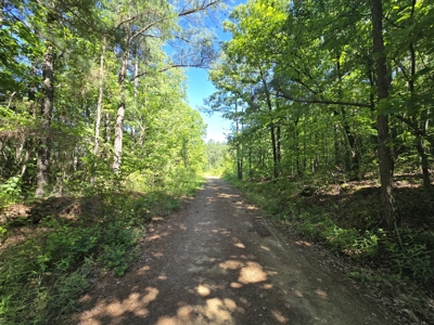 Off-Grid Property – Creek Frontage - Owner Financing - image 11