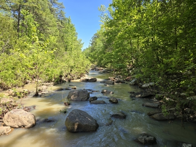 Off-Grid Property – Creek Frontage - Owner Financing - image 2