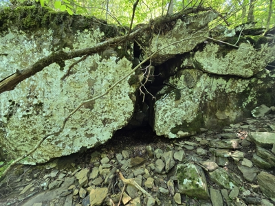 Off-Grid Property – Creek Frontage - Owner Financing - image 9