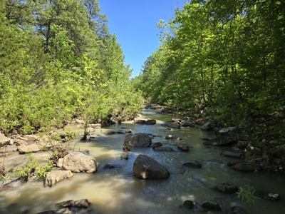 Off-Grid Property – Creek Frontage - Owner Financing - image 3