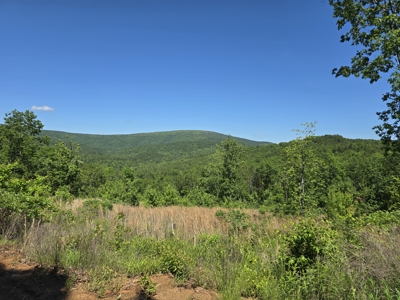 Off-Grid Property – Creek Frontage - Owner Financing - image 12