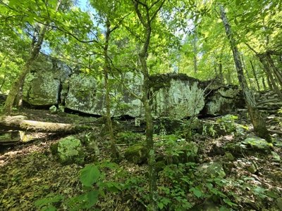 Off-Grid Property – Creek Frontage - Owner Financing - image 8