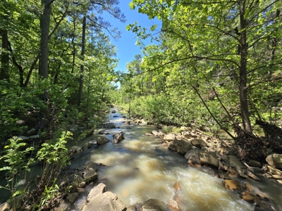 Off-Grid Property – Creek Frontage - Owner Financing - image 4