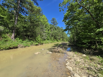 Off-Grid Property – Creek Frontage - Owner Financing - image 6