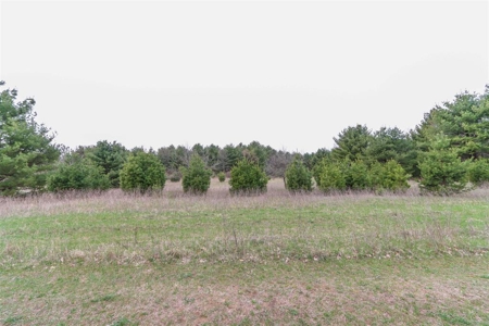 Country Home For Sale in Iola WI - image 34