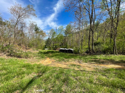 Home For Sale In Elk Creek VA With Acreage And Pond - image 42
