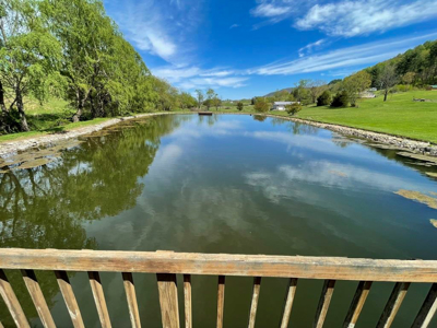 Home For Sale In Elk Creek VA With Acreage And Pond - image 37
