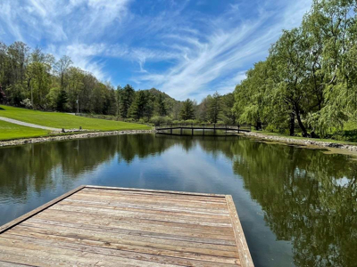 Home For Sale In Elk Creek VA With Acreage And Pond - image 38