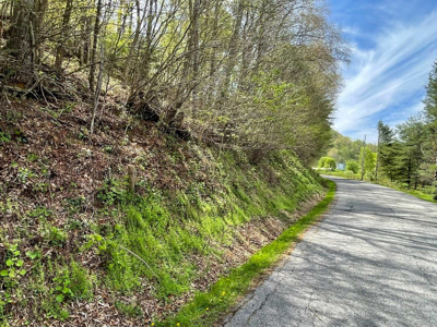 Home For Sale In Elk Creek VA With Acreage And Pond - image 44