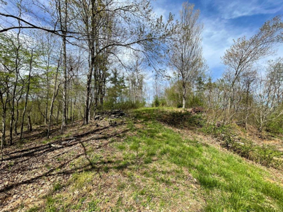 Home For Sale In Elk Creek VA With Acreage And Pond - image 43