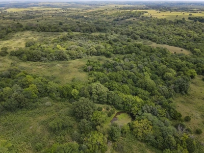 Kansas Trophy Ranch For Sale – Hunt It, Ranch It, Develop It - image 17