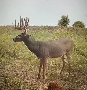 Kansas Trophy Ranch For Sale – Hunt It, Ranch It, Develop It - image 5