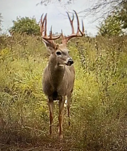 Kansas Trophy Ranch For Sale – Hunt It, Ranch It, Develop It - image 4