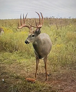 Kansas Trophy Ranch For Sale – Hunt It, Ranch It, Develop It - image 3