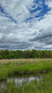 Land for sale in St. Clair County - image 23