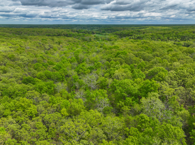 Land for sale in St. Clair County - image 43