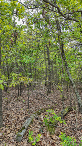 Land for sale in St. Clair County - image 19