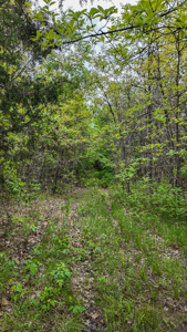 Land for sale in St. Clair County - image 16
