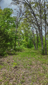 Land for sale in St. Clair County - image 6