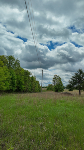 Land for sale in St. Clair County - image 2