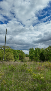 Land for sale in St. Clair County - image 24