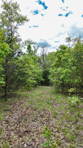Land for sale in St. Clair County - image 18