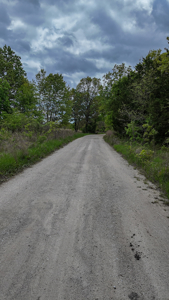 Land for sale in St. Clair County - image 21