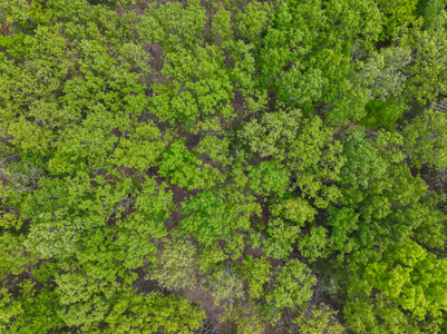 Land for sale in St. Clair County - image 39