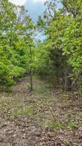 Land for sale in St. Clair County - image 20