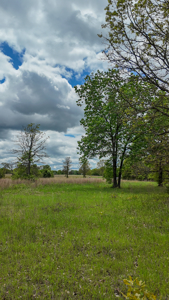 Land for sale in St. Clair County - image 13