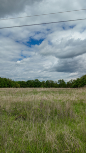 Land for sale in St. Clair County - image 25