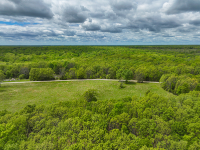 Land for sale in St. Clair County - image 45