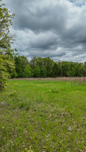 Land for sale in St. Clair County - image 12