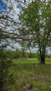 Land for sale in St. Clair County - image 22
