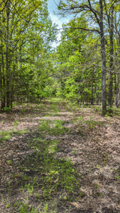Land for sale in St. Clair County - image 3